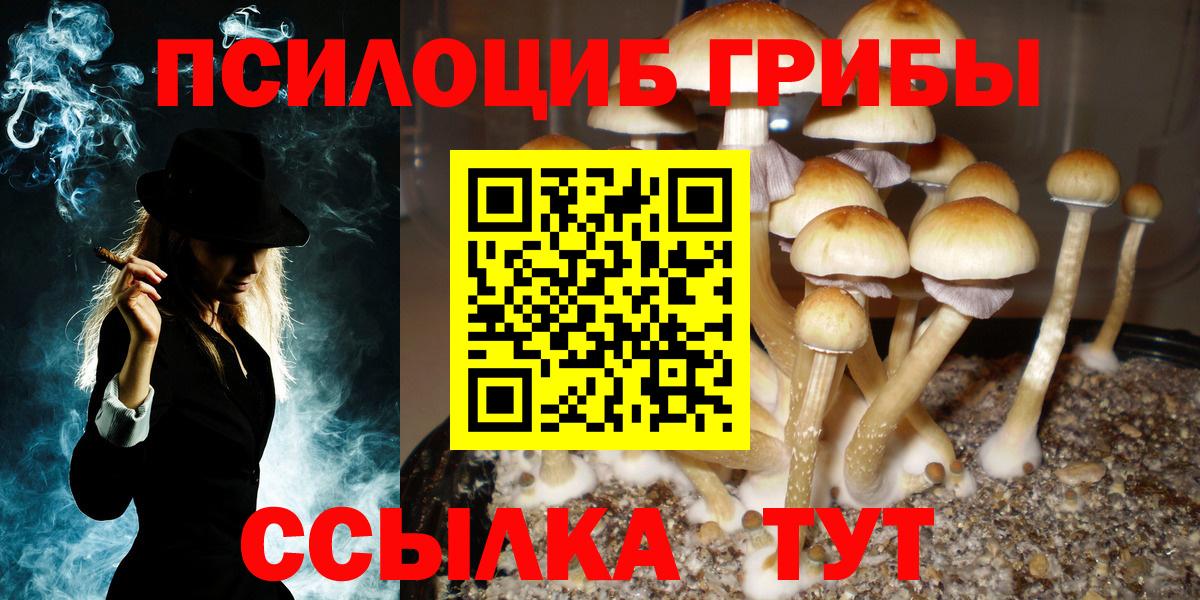 Галлюциногенные грибы Magic Shrooms Грязи
